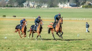 Momentum Harnessing Everyday Stamina for Success