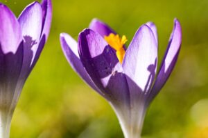The Role of Sleep in Enhancing Stamina